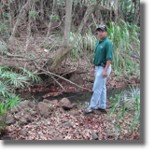Waikomo Stream, Kauai, Hawaii.